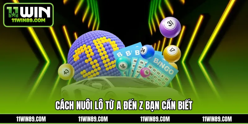 Cách nuôi lô từ A đến Z bạn cần biết