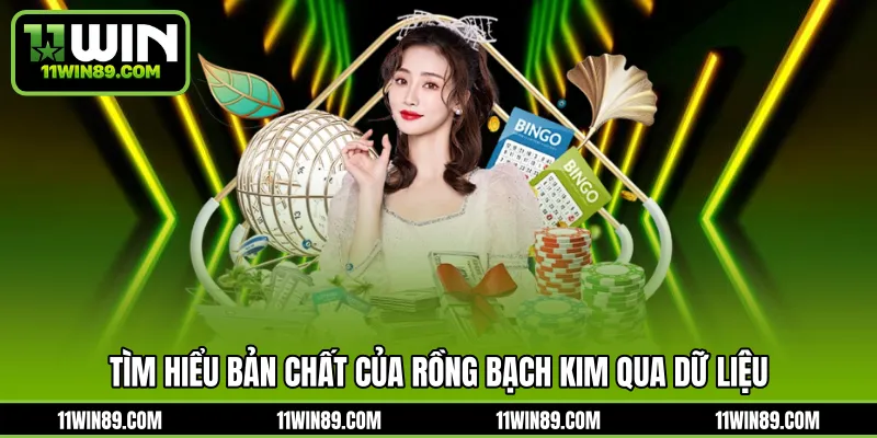 Tìm hiểu bản chất của rồng bạch kim qua dữ liệu